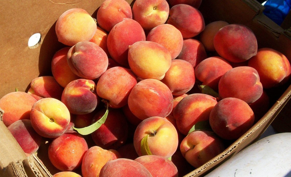 Beginner’s Guide to Extreme Grocery Couponing