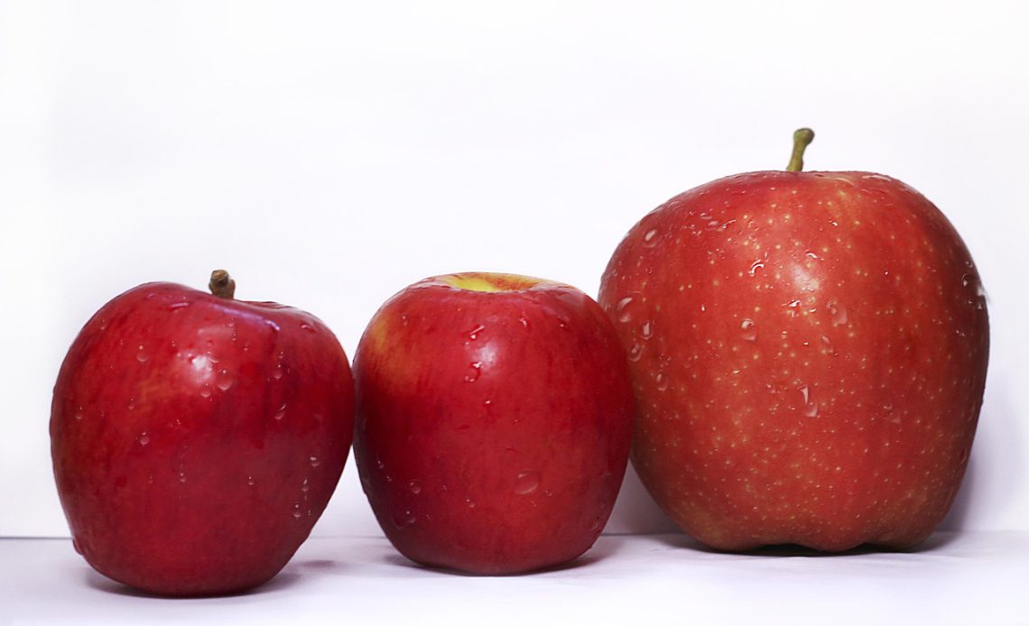 Best Grocery Stores for Cheap Weekly Shopping