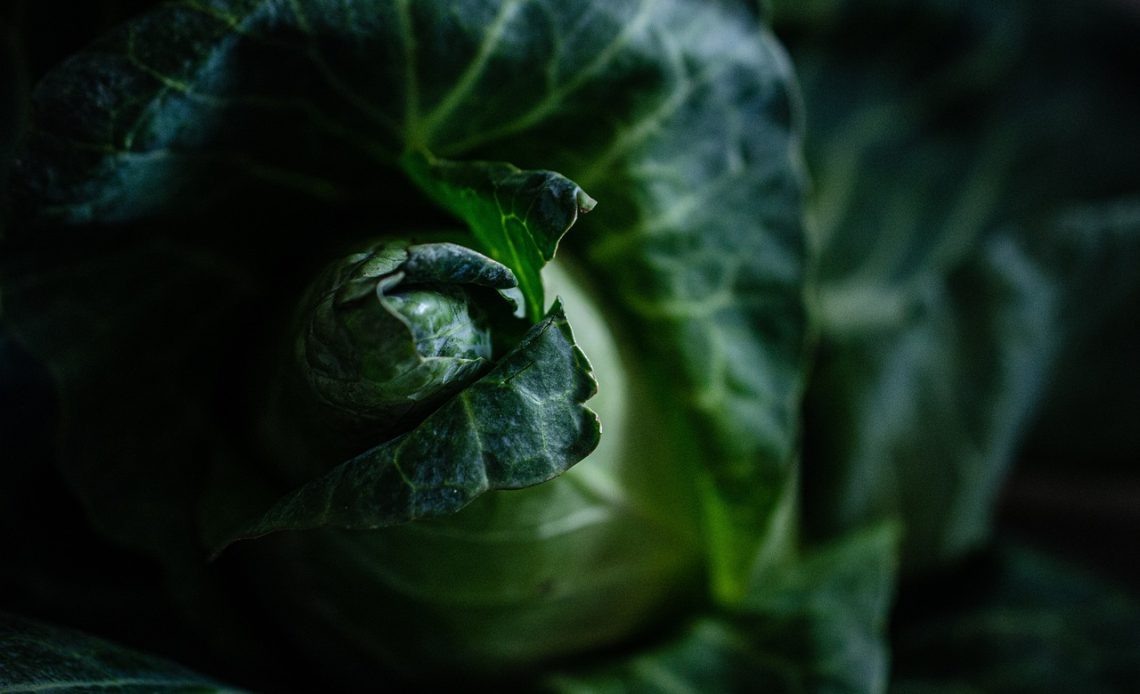 Future Grocery Delivery Trends