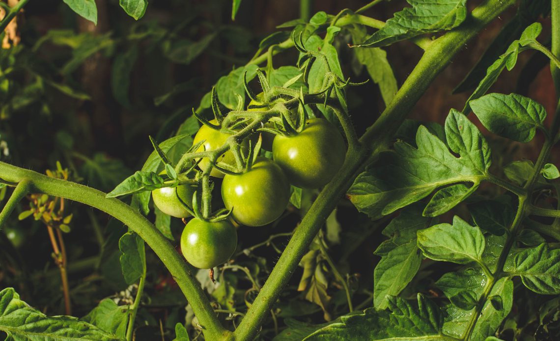 Grocery Deal Forums That Actually Work