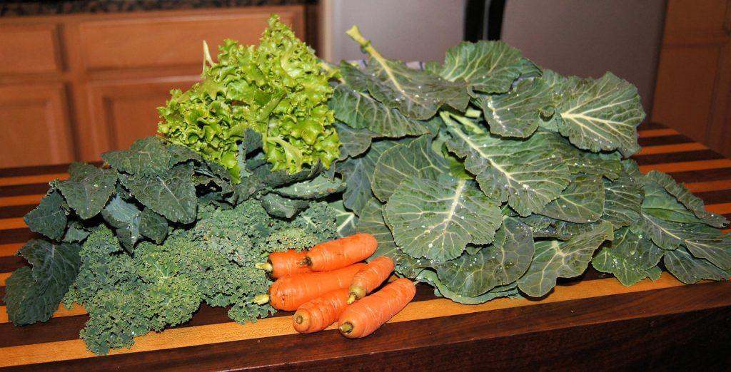 Healthy Snacks You Can Find in Any Grocery Store