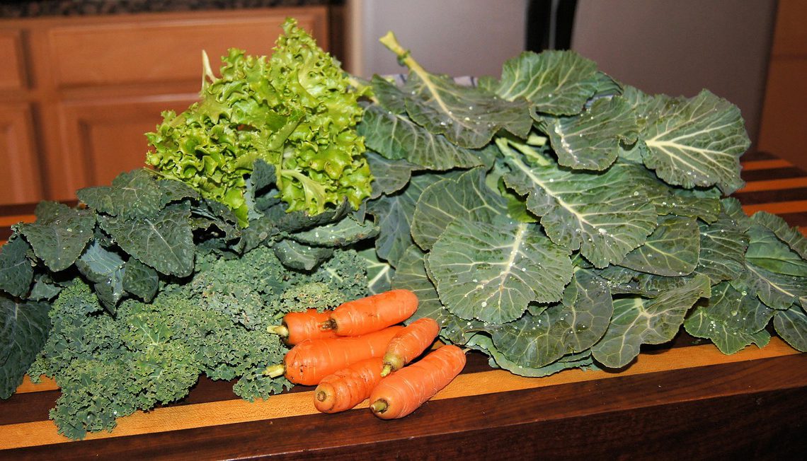 Healthy Snacks You Can Find in Any Grocery Store