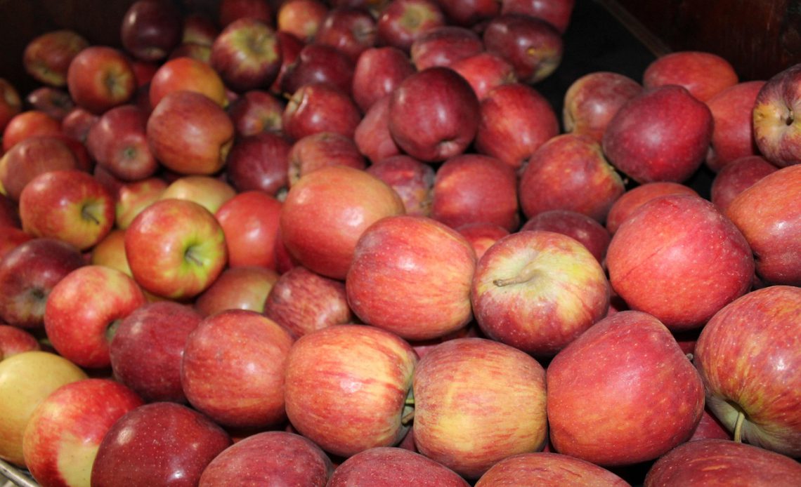 How AI Grocery Lists Save Time and Money