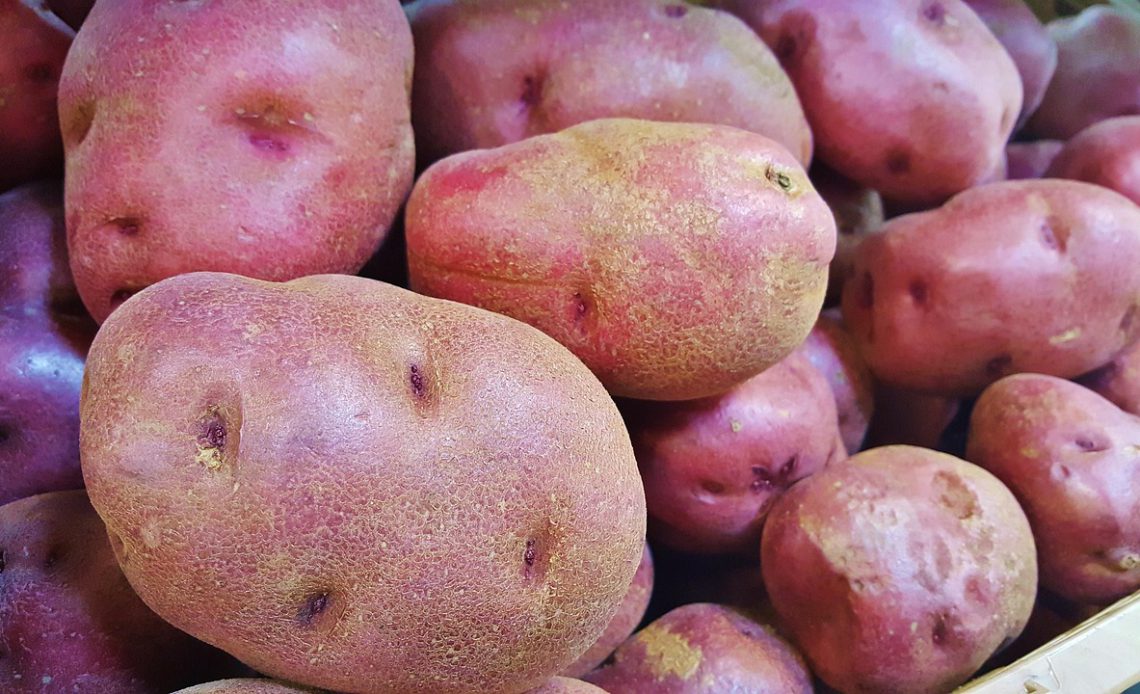 How to Navigate Grocery Stores Like a Pro