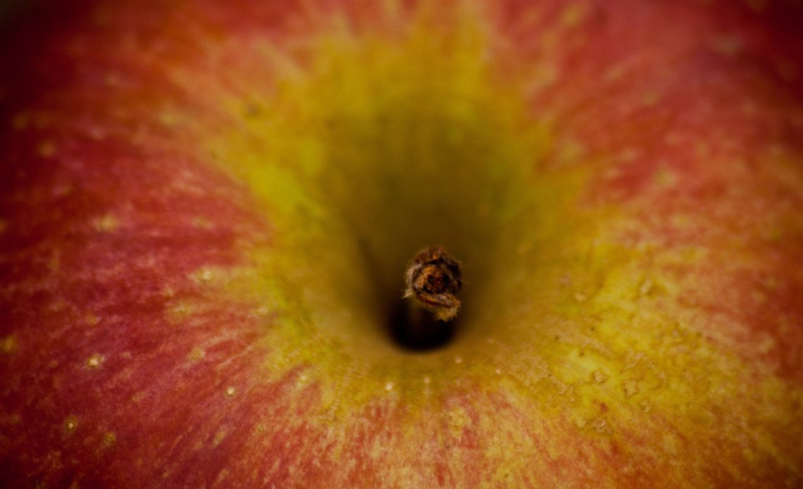 How to Read Food Labels Like a Nutritionist