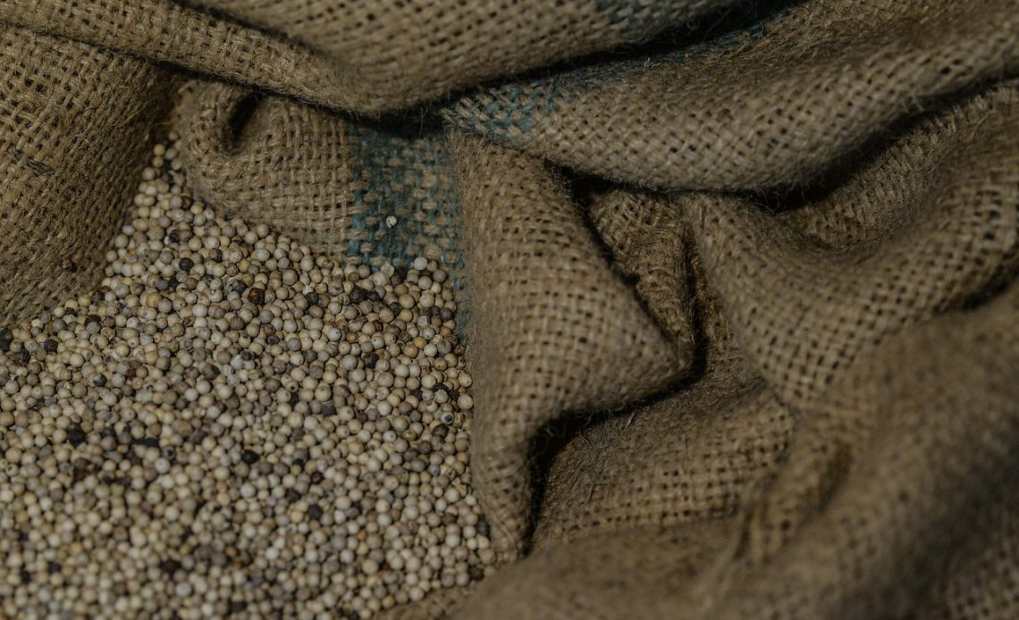 Online Grocery Shopping vs In-Store: Which Is Cheaper?