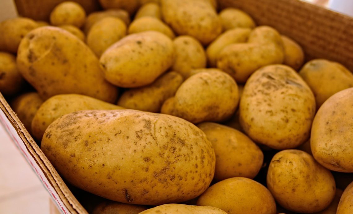 Organizing Groceries for Faster Meal Prep