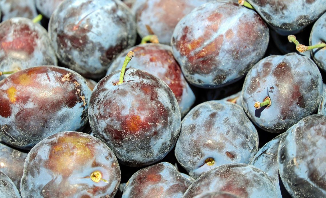 The Psychology Behind Impulse Grocery Purchases