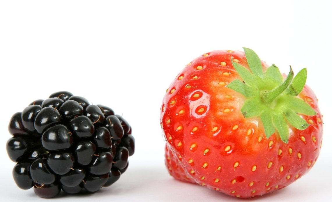 Walmart vs Target Grocery Price Comparison